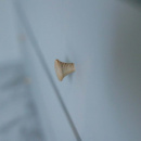 Möbelknopf Rut - Unbehandelte Esche