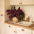 Möbelknopf 401 - Messing (Matt)