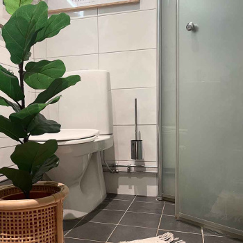 Solid Toilettenbürste - Chrom