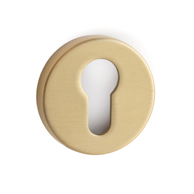 Schlüsselschild R-E - Gebürstetes Gold (Europäischer Standard) in der Gruppe Neuheiten bei Beslag Online (751125-41E)
