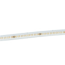LED-Streifen CSP - 3000K