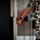 Möbelknopf 24466 - Poliertes Messing